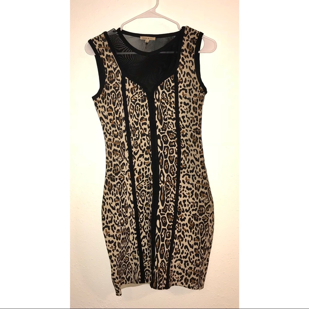 Animal Print Bodycon Dress